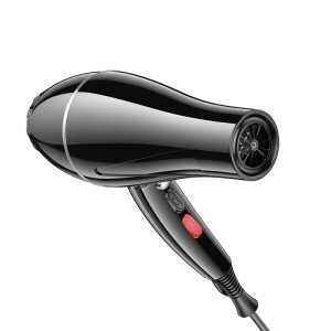 Hoco HP12 Hot and Cold Air Hair Dryer (EU) - Quick Style Fix