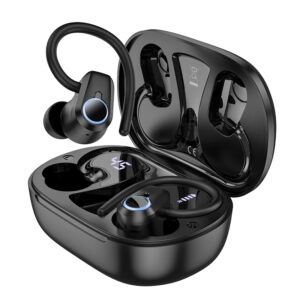 Hoco EQ8 In-Ear True Wireless BT Earbuds