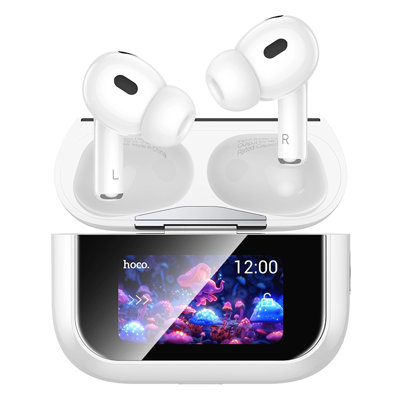 Hoco EW79 Bluetooth Earbuds | Hoco Bangladesh